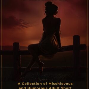 Buchcover zu „Fence-Sitting Fantasies“ von Seamus Love